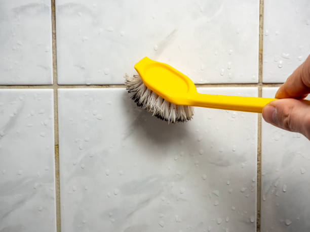 Best Office Mold Removal Services  in Herald Harbor, MD