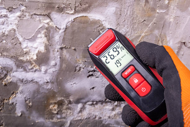 Best Water Damage Restoration  in Herald Harbor, MD